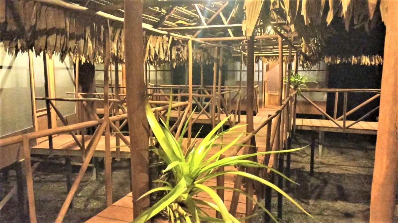 Avatar Amazon Lodge & Canopy Park Santa Teresa  Exteriör bild