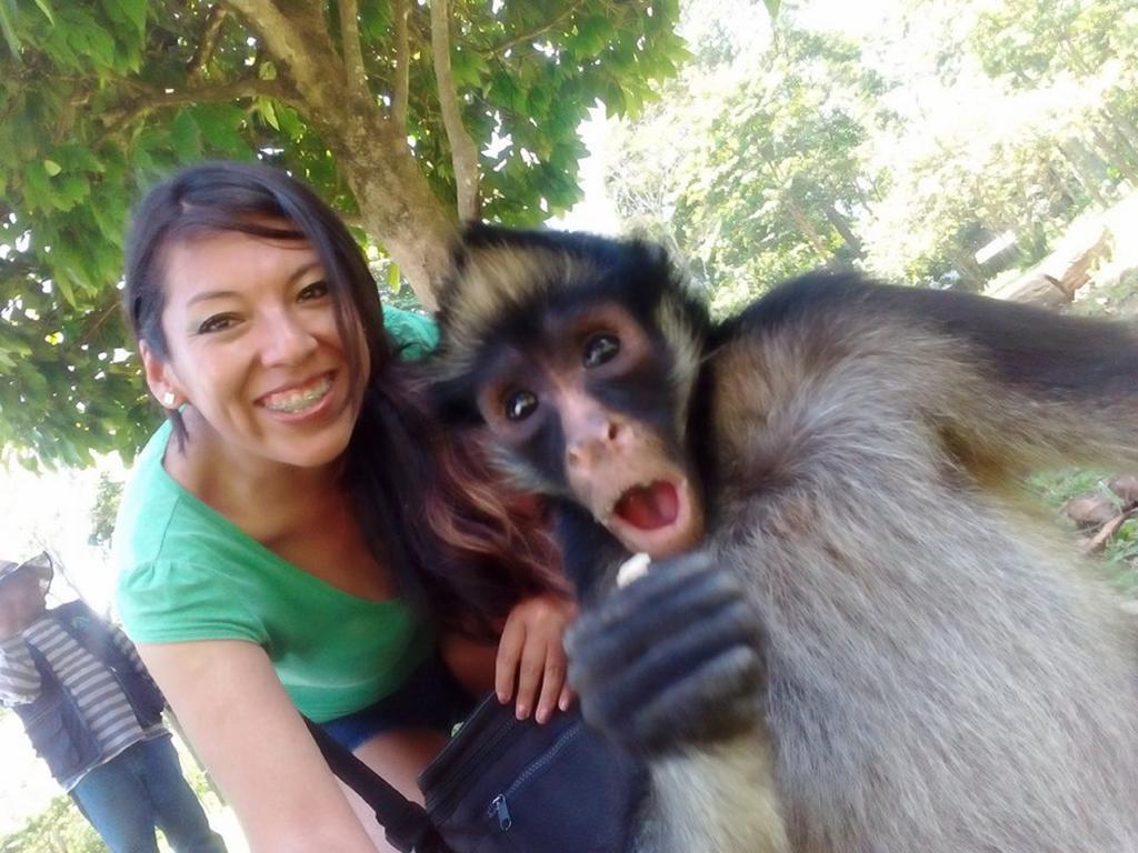 Avatar Amazon Lodge & Canopy Park Santa Teresa  Exteriör bild